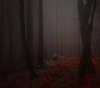 Ormanın fotoğraf Gotik yeraltı